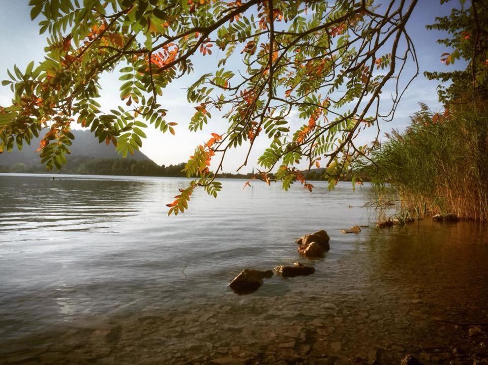 Apartmenthaus Der Johanneshof - Tolle Lage Nah Am See شليرسي المظهر الخارجي الصورة